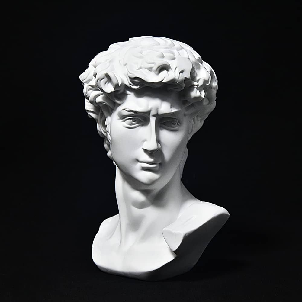 Greek Statue of David Bust Resin Sculpture for Roman Bookshelf Tabletop Office Home Decor Roman S... | Amazon (US)
