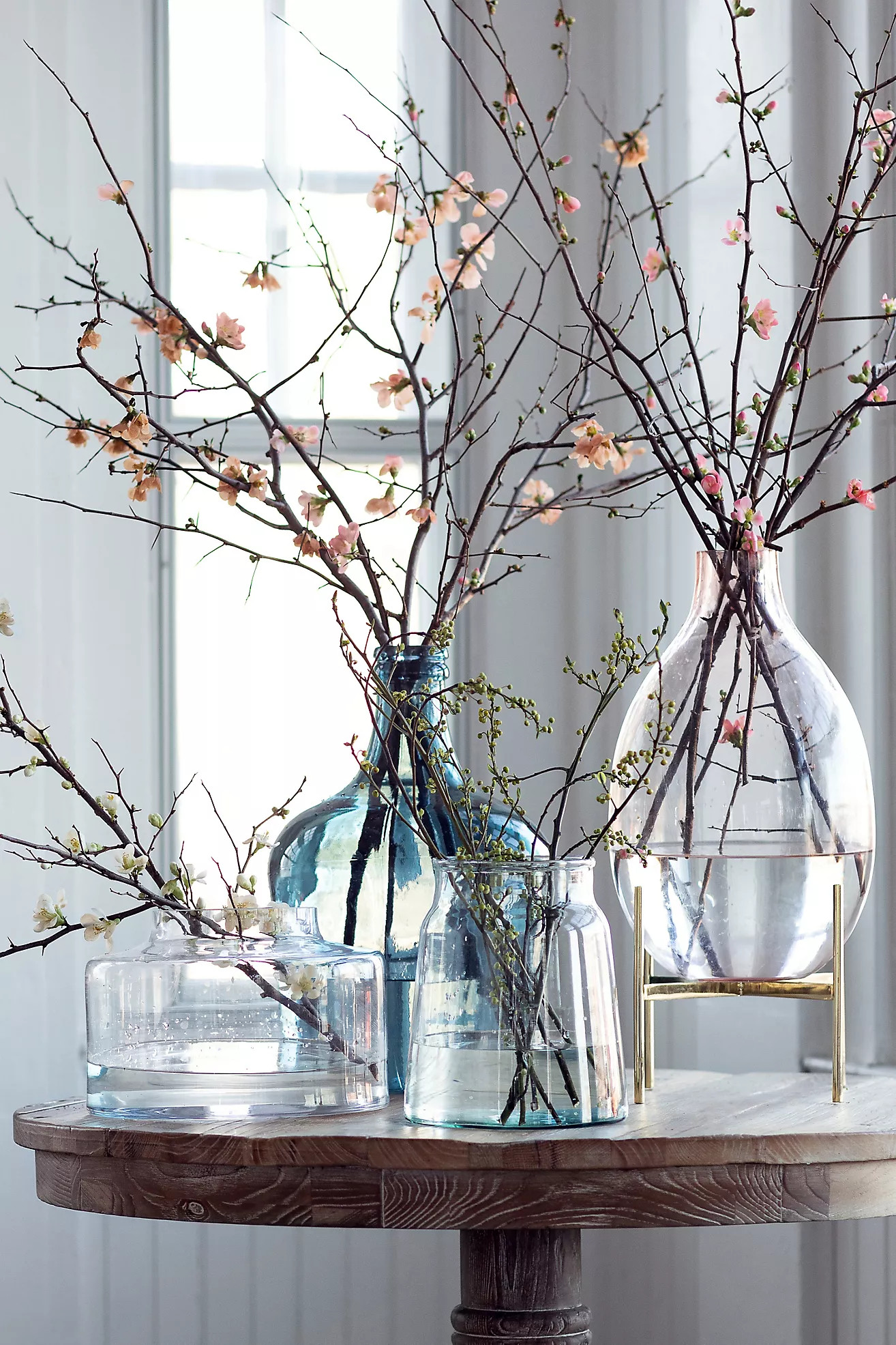 Quince Branches | Anthropologie (US)