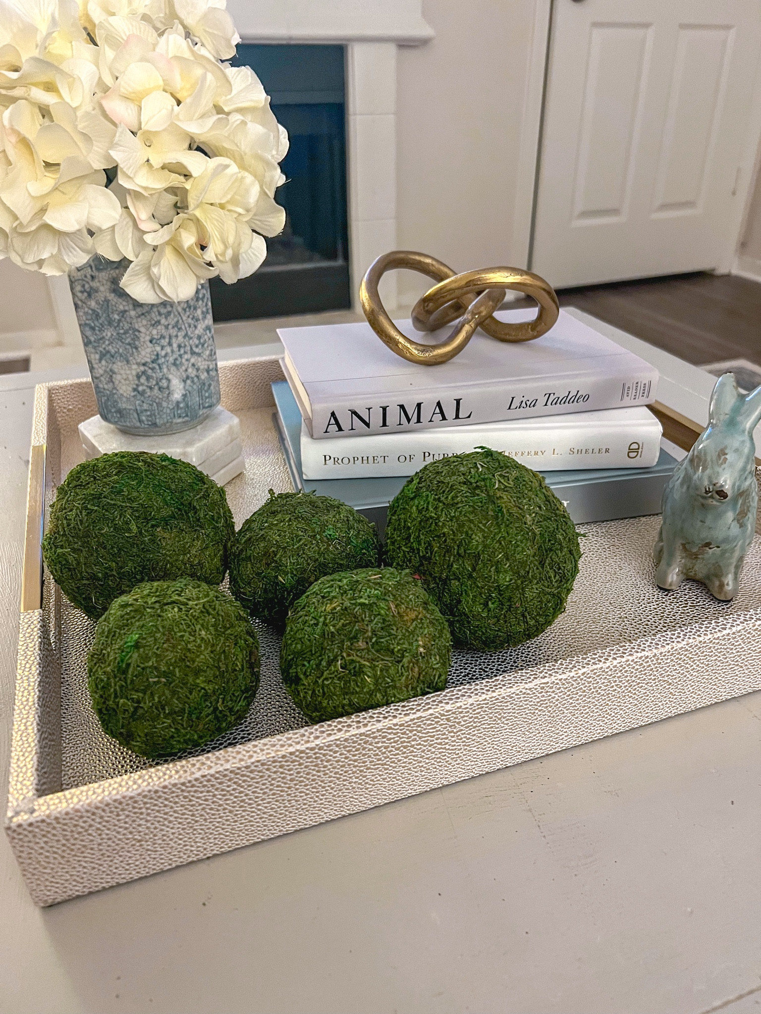 Coffee table decor is one of my favorite attractions in a living room. What and how you choose to display your items can really bring your entire room together!

Home decor // coffee table // table tray // decor // Amazon 

#LTKhome #LTKunder50 #LTKstyletip