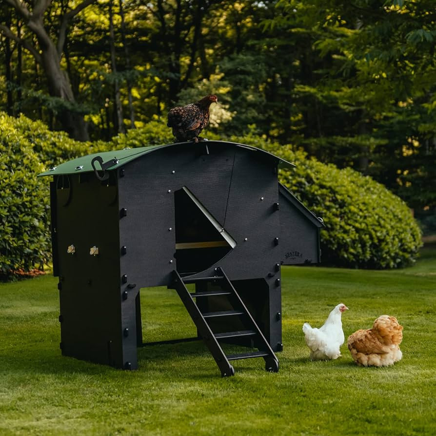 Plastic Chicken Coop 25yr Lifespan - Large Chicken Coop for 8 Chickens Or 15 Bantams | 2 Rounded ... | Amazon (US)