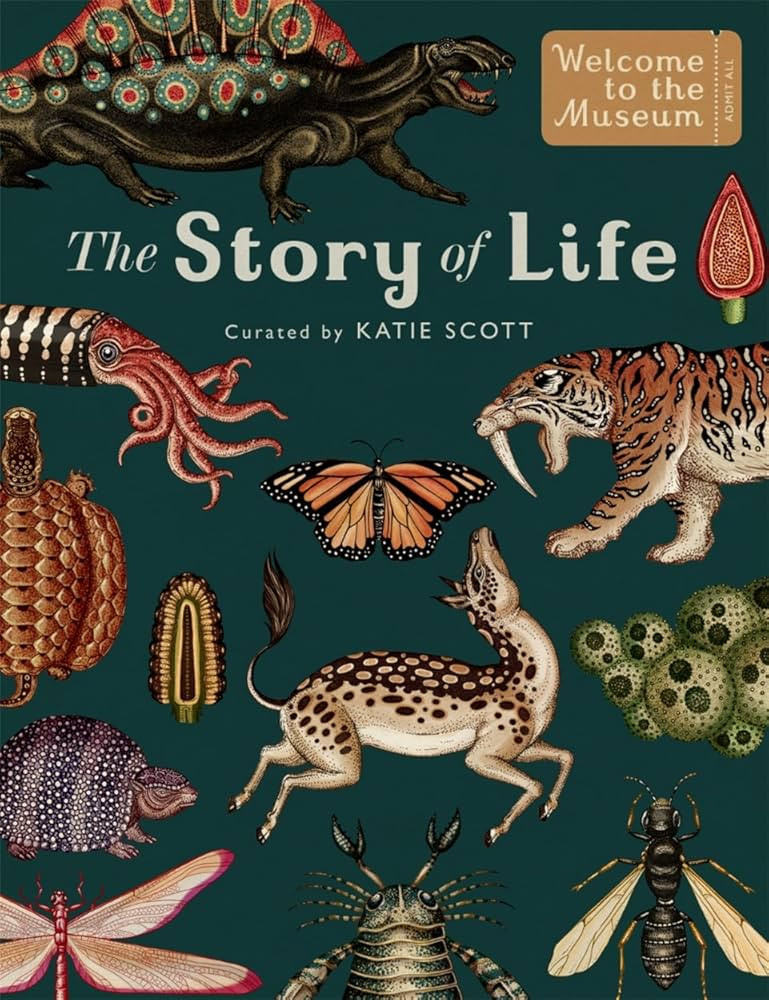 The Story Of Life Evolution | Amazon (US)