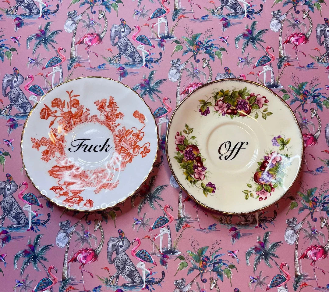 Muck N Brass Original Upcycled Decorative Pair Plates Humour Comedy Gift Idea Funny Wall Hanging ... | Etsy (US)