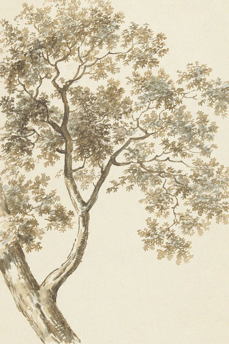 Golden Oak | Juniper Print Shop