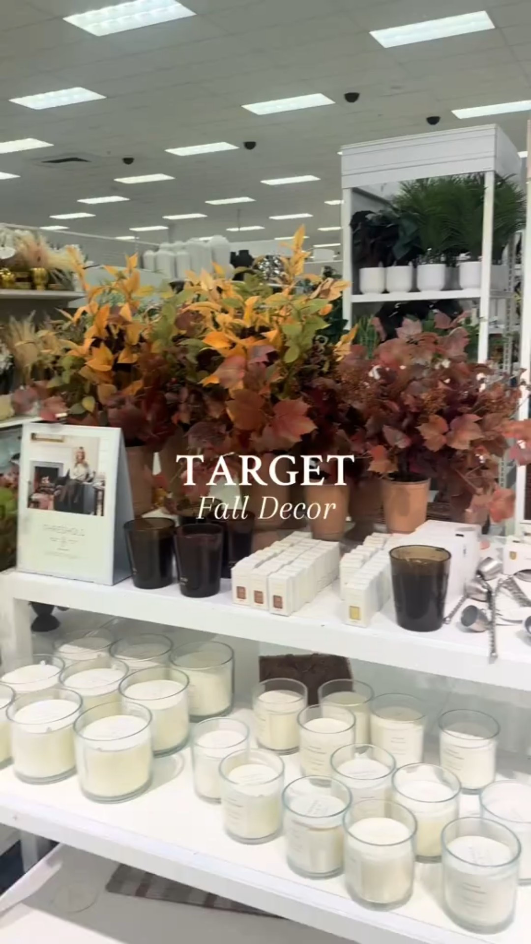 Target Fall Home Decor 🍂

#LTKSaleAlert #LTKSeasonal #LTKHome