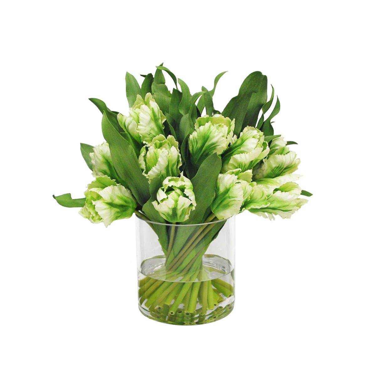 Green Tulip Arrangement | Tuesday Made