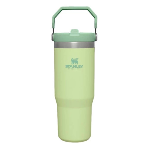 Stanley Iceflow Flip Straw 30 oz Tumbler | Scheels