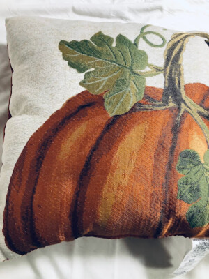 Brentwood Solarium Indoor/Outdoor Decorative Pillow 1 pc    | eBay | eBay US