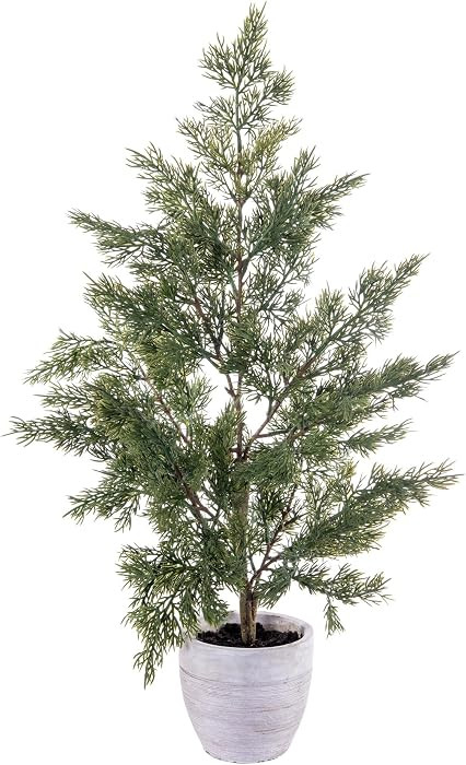 Vickerman 24" Artificial Green Cypress Sapling Potted | Amazon (US)