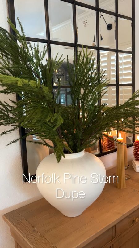 Norfolk pine stem dupe 

#LTKHoliday #LTKhome #LTKSeasonal