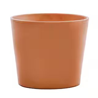 10.25 in. Terra Cotta Clay Flair Pot Cabo | The Home Depot
