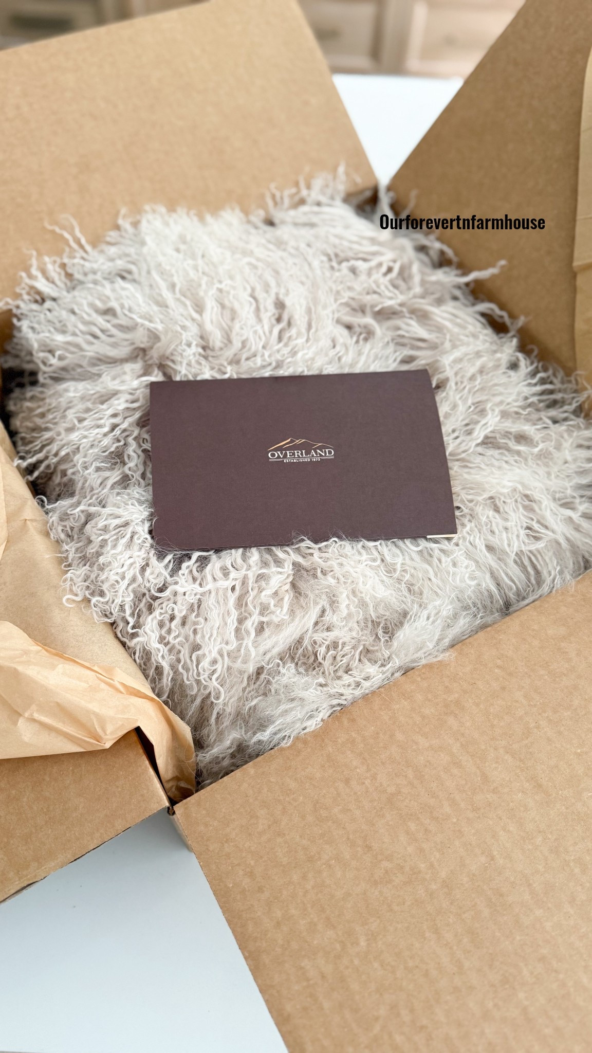 Unboxing Sunday 🤍
Starting this week’s series with the dreamiest new arrival — the Polar Dreams Tibetan Lamb Blanket from @OverlandSheepskin. 

The long, soft curls and natural sheen instantly add that touch of luxury to a space, and it’s every bit as cozy as it looks. Perfect for curling up by the fire or layering on the bed for a soft, elevated feel.

Stay tuned to see how I style it. 


#OverlandSheepskin #ModernFarmhouse #ModernTransitionalFarmhouse #HomeDecor #CozyHome #InteriorInspo #FallDecor #NeutralHome #HomeStyle #HomeDetails #TexturedDecor #BedroomGoals #SofaStyle #LayeredLook #WarmAndCozy

#LTKSeasonal #LTKHome