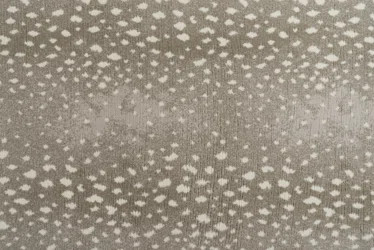 Stark Studio Rugs Deerfield Animal Print Gray Taupe Area Rug | Wayfair Professional