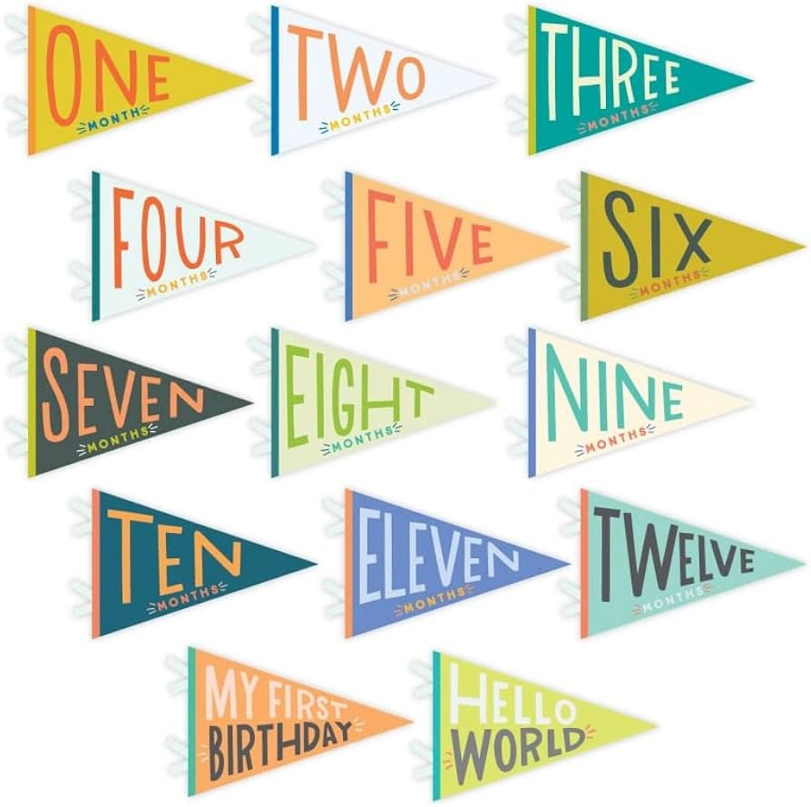 Lucy Darling Petit Milestone Pennants, 12 Felt Baby Monthly Milestone Banners for Baby Girl & Boy... | Amazon (US)