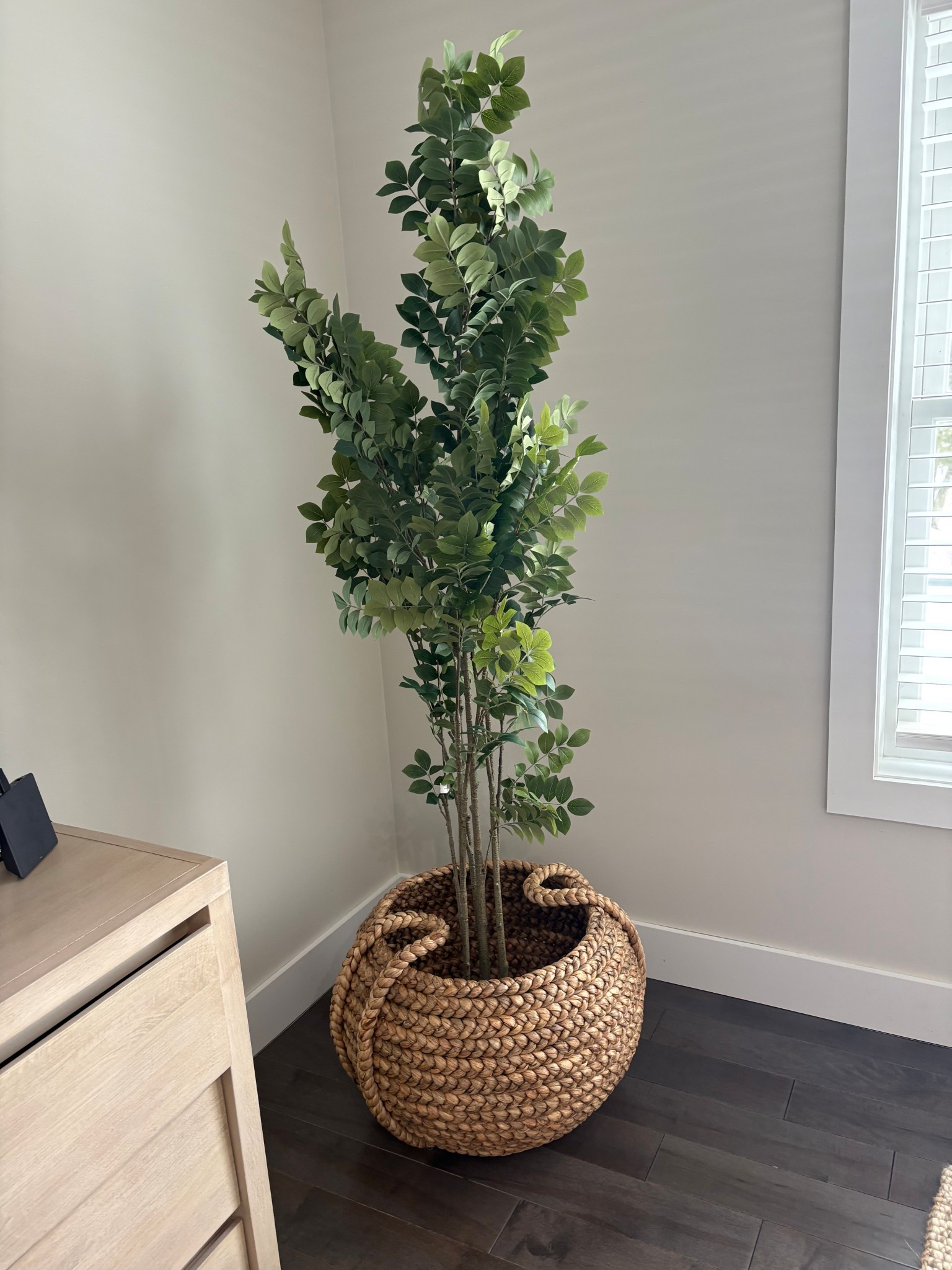 Faux potted green leaf tree, 6’H

#LTKHome