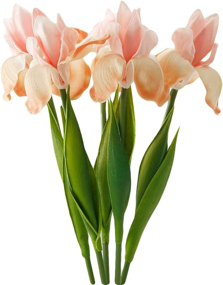 Angel Isabella Pack of 4 Real Touch Bearded Rris-16 Iris Artificial Flowers for Decoration in Wed... | Amazon (US)