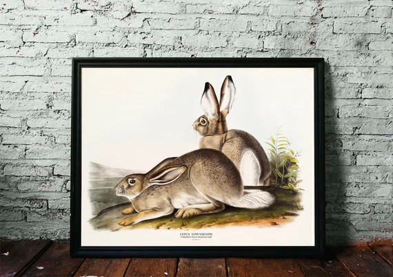 NatureDigitalStore | Etsy (US)