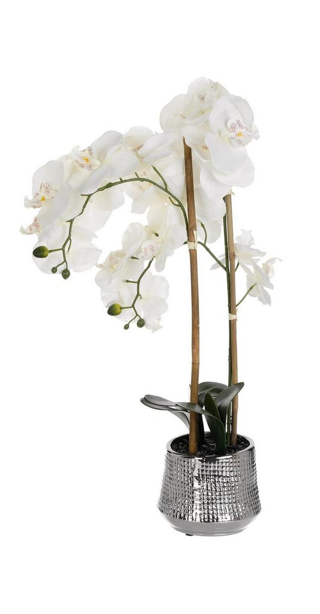 24" Decorative Faux Orchid Plant - White--7798868181400   | Burkes Outlet | bealls