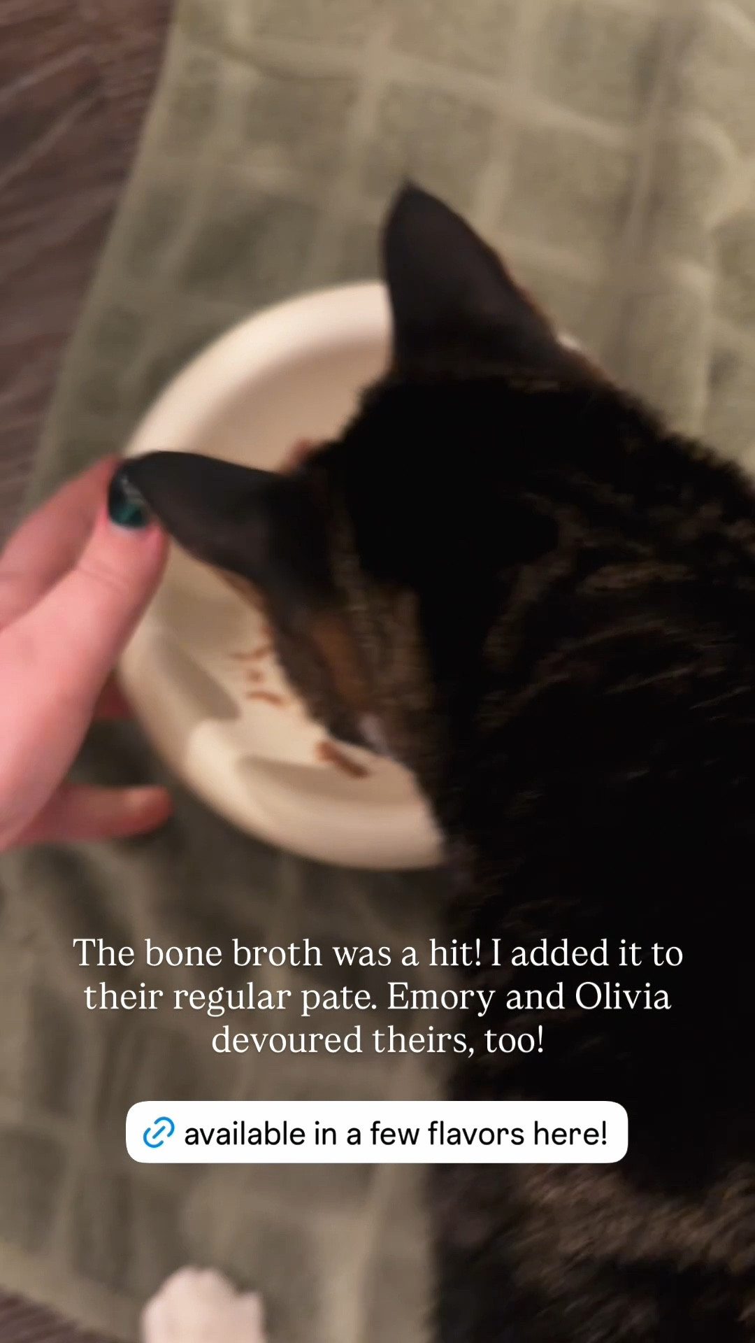 This cat food topper bone broth was a hit! I added it to their regular pate. Emory and Olivia devoured theirs dinners, too!

#LTKdayinmylife #LTKgrwm #LTKHome