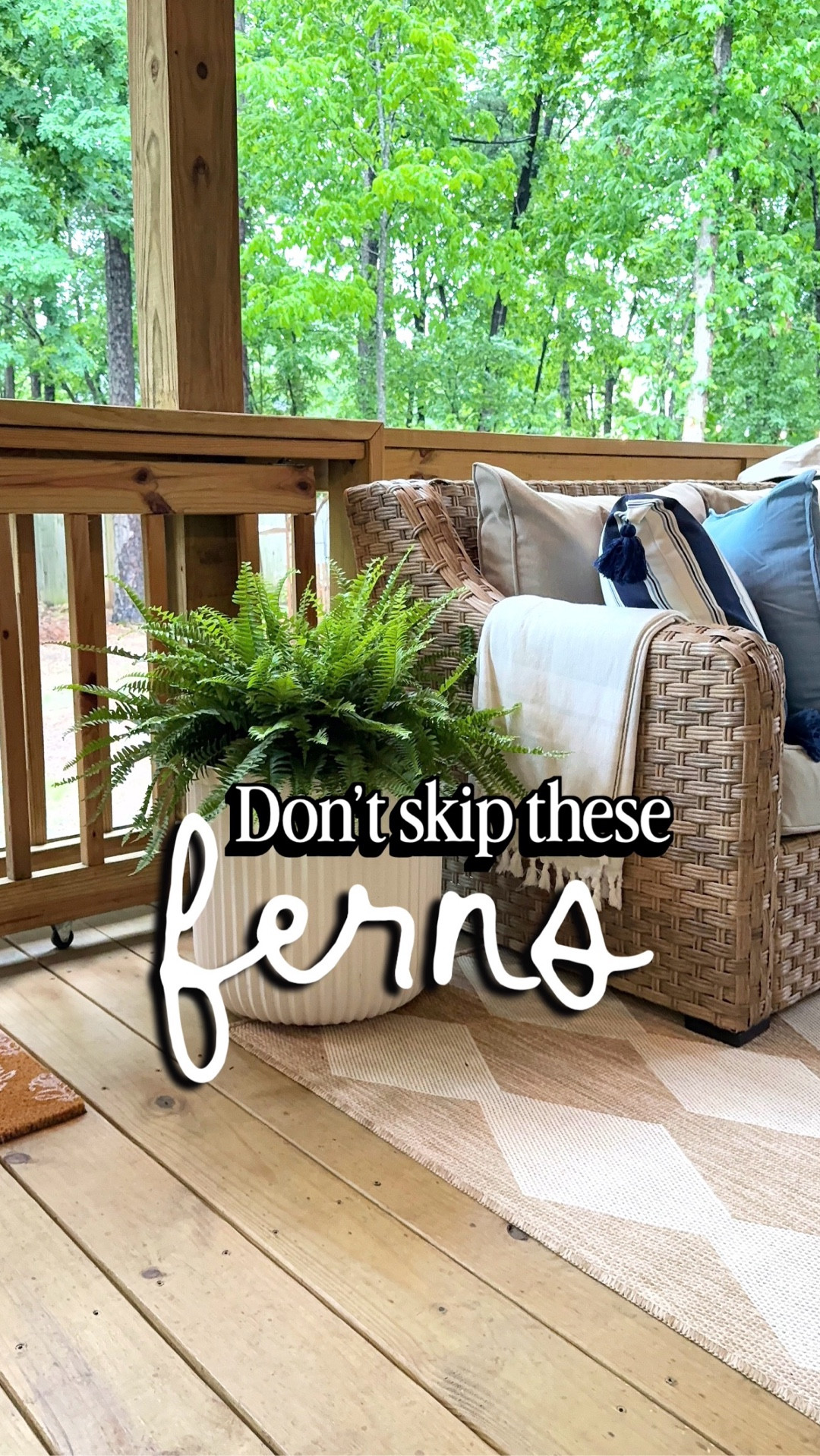 
I found the Boston ferns  2 for $20 and they instantly make your porch feel full, lush, and layered. These are one of the easiest ways to elevate your outdoor space without spending a fortune. Perfect for shaded spaces, they are pet friendly, and low maintenance. If your outdoor space feels like it’s missing something, this is your upgrade.

low maintenance outdoor plants, front porch decor, patio decor ideas, outdoor living spaces, budget friendly home updates

#LTKmomlife #LTKHome #LTKSeasonal