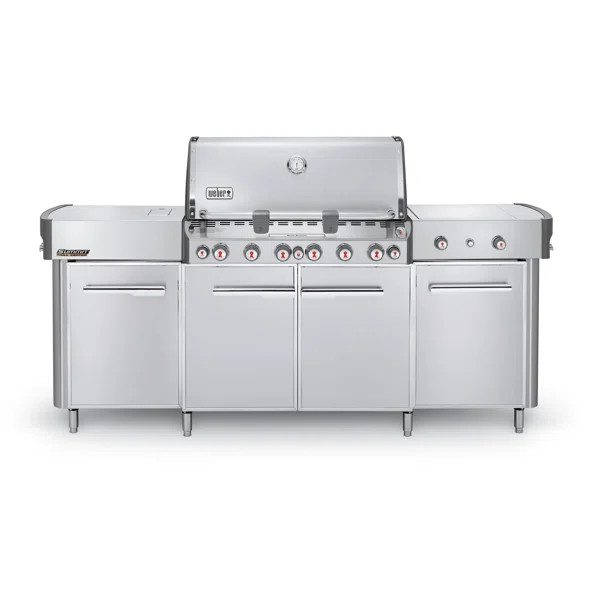 Weber Summit Grill Center S Liquid Propane, Stainless Steel | Wayfair North America