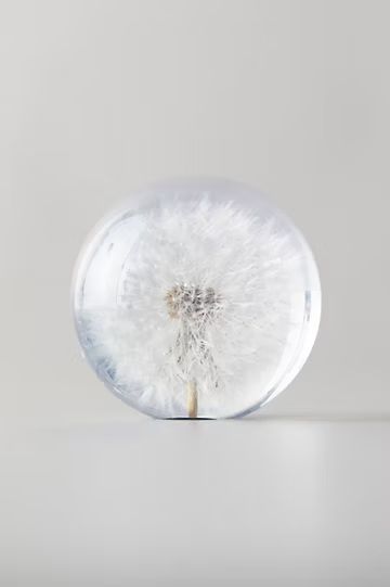 Resin Floral Paperweight | Anthropologie (US)