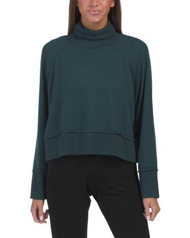 Joya Cozy Turtleneck Sweater | TJ Maxx