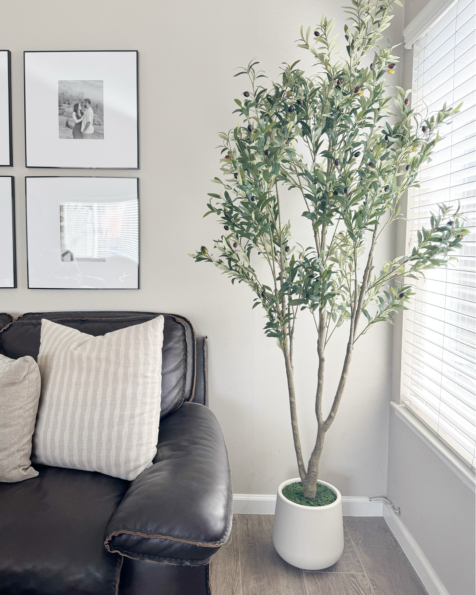This 7ft faux olive tree from Amazon is beautiful and looks realistic. Highly recommend.

Amazon, artificial plant, home decor 

#LTKFindsUnder100 #LTKHome