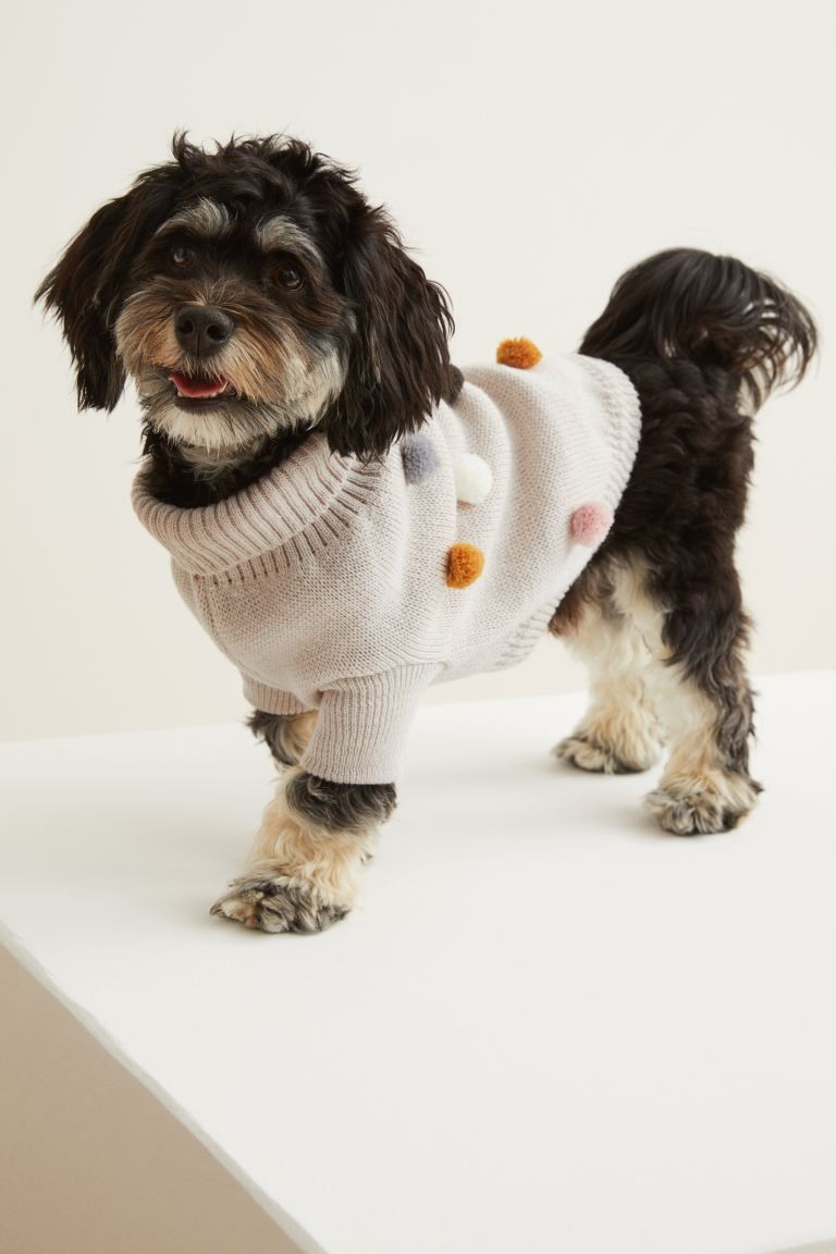Pompom-trimmed Dog Sweater | H&M (US + CA)