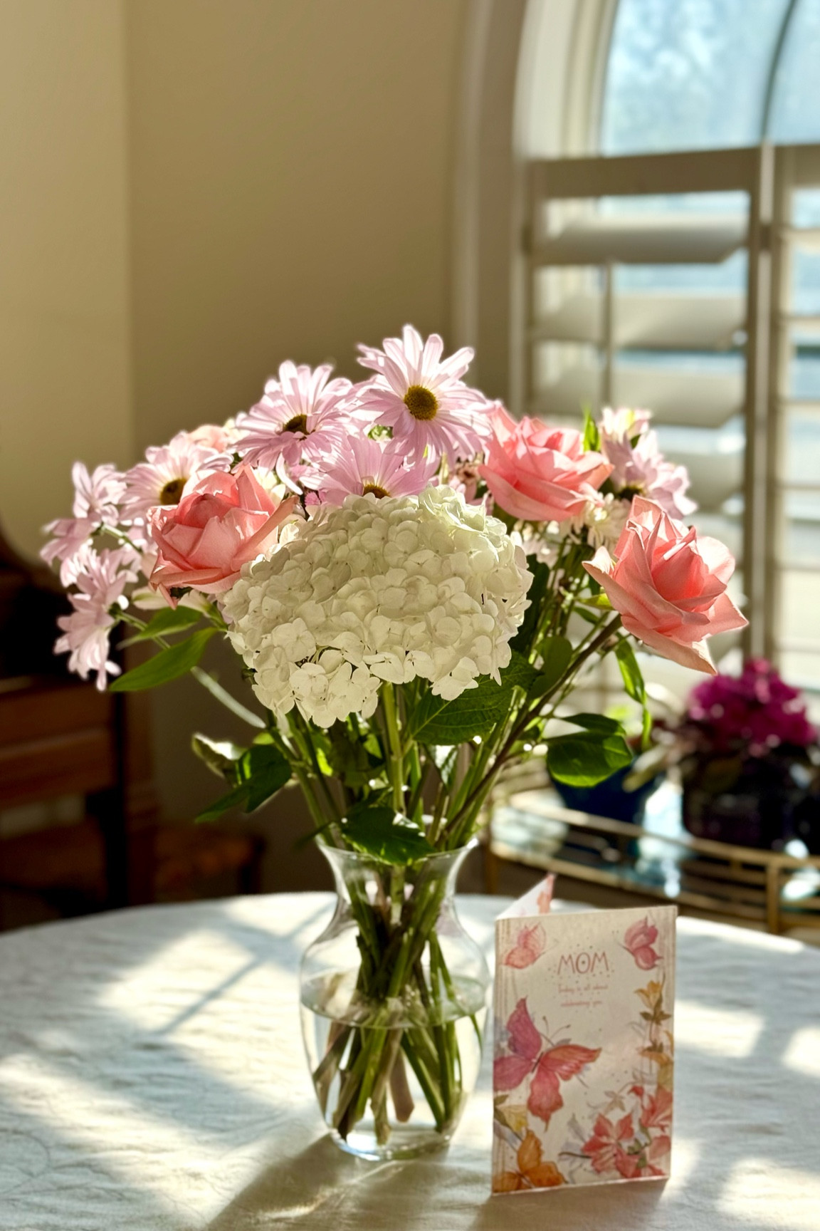 Mother’s Day Gift Guide


#LTKdayinmylife #LTKSaleAlert #LTKMothersDay