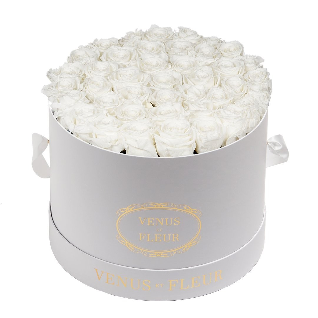 Large Round | Venus ET Fleur
