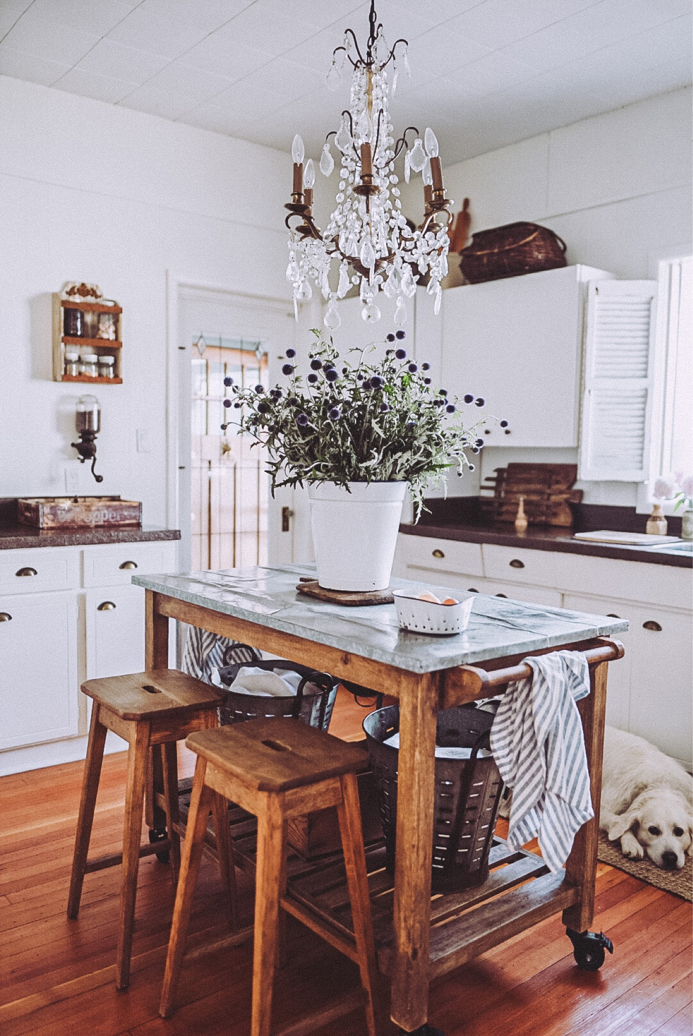 Shop the kitchen.  Everything from antiques to simple baking necessities  

#LTKhome #LTKHoliday