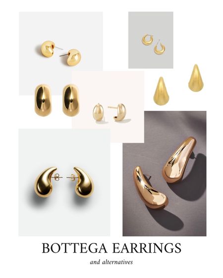 Bottega Veneta Drop Earrings and alternatives

#LTKunder100 #LTKstyletip #LTKFind