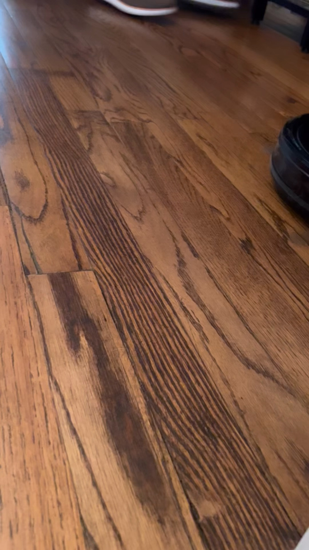 Best robot vacuum at an AMAZING price…over 50k reviews! And I see what. So good for pet hair too!

#LTKhome