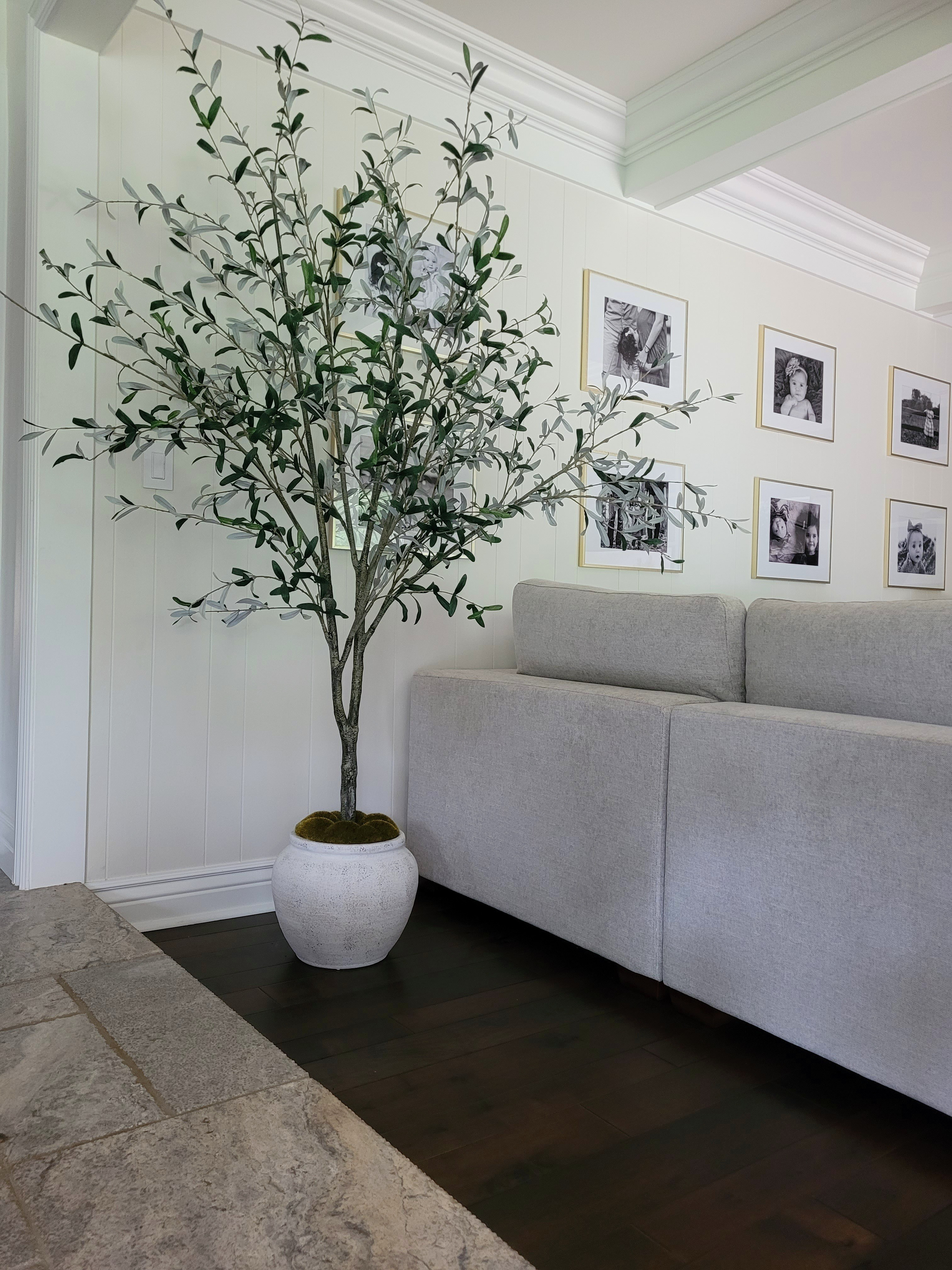 My 93" faux olive tree is finally back in stock! It comes in this gorgeous planter with faux moss that doesn't make a mess and is absolutely perfect to stick in an awkward corner and bring some greenery to your living room! @Target studio mcgee, home decor,  living room styling,  home styling,  family room

#LTKHome