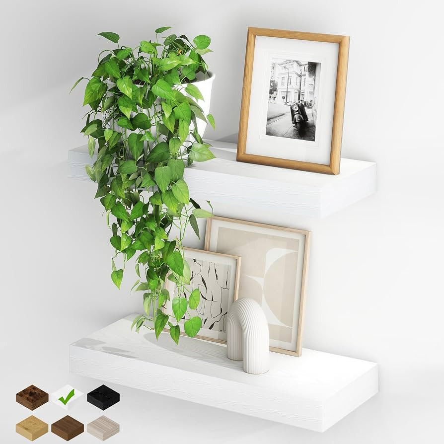 Fun Memories Floating Shelves for Wall, 20Inch Floating Shelves Set of 2, Hanging Shelf with Invi... | Amazon (US)