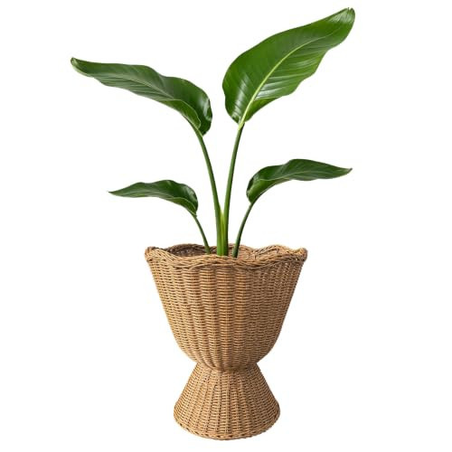 Quincry Rattan Planter, Woven Planter Basket for Plants Indoor Outdoor, Rattan Flower Pot, Decorative Plant Holder Basket for Garden Patio Boho Home Decor (Orange&Scalloped-Large:16.14" H x 13.87" W) | Amazon (US)
