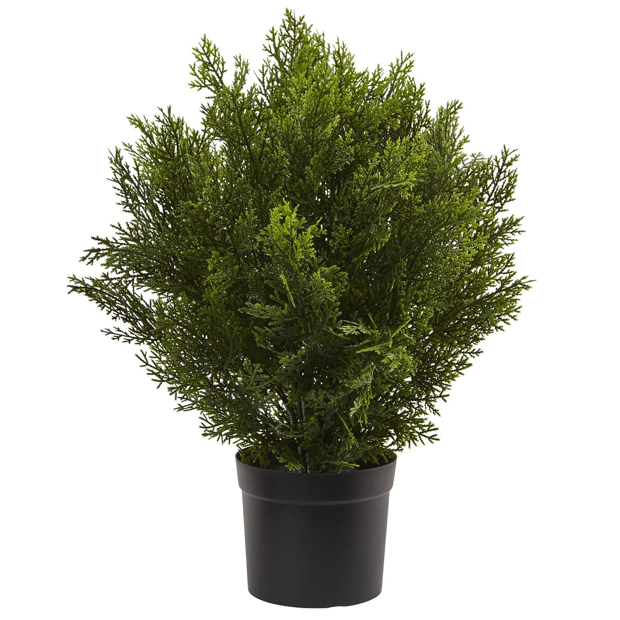 Nearly Natural 6880 2’ Cedar Artificial Bush (Indoor/Outdoor), Green | Amazon (US)