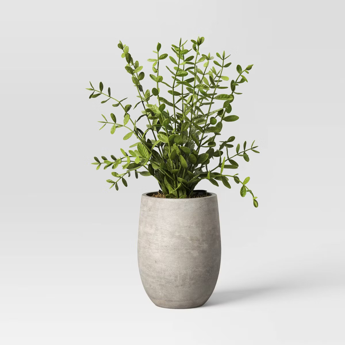 14" Privet Artificial Plant - Threshold™ designed with Studio McGee: No-Maintenance Greenery, I... | Target
