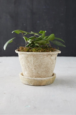 Earth Fired Clay Thin Rim Pot + Saucer Set | Anthropologie (US)