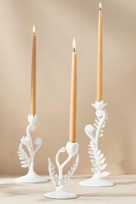 Fiddlehead Fern Taper Candle Holder | Anthropologie (US)