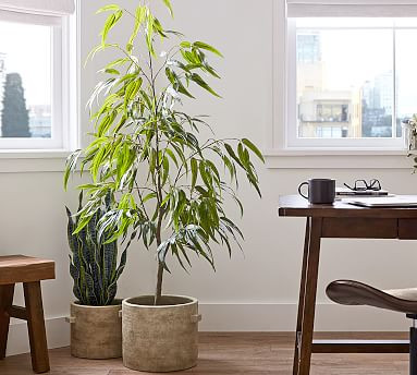 Faux Potted Eucalyptus Tree | Pottery Barn (US)