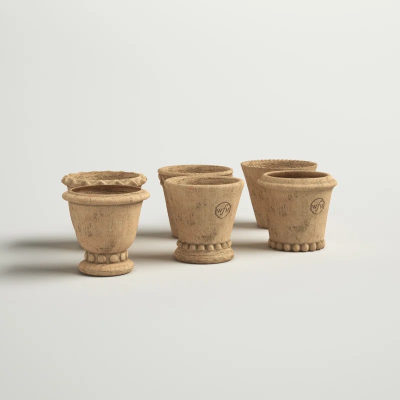 Crowborough Wh Mini Pots (Set of 6) | Wayfair North America