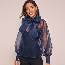 Tie Neck Lantern Sleeve Sheer Organza Blouse | SHEIN