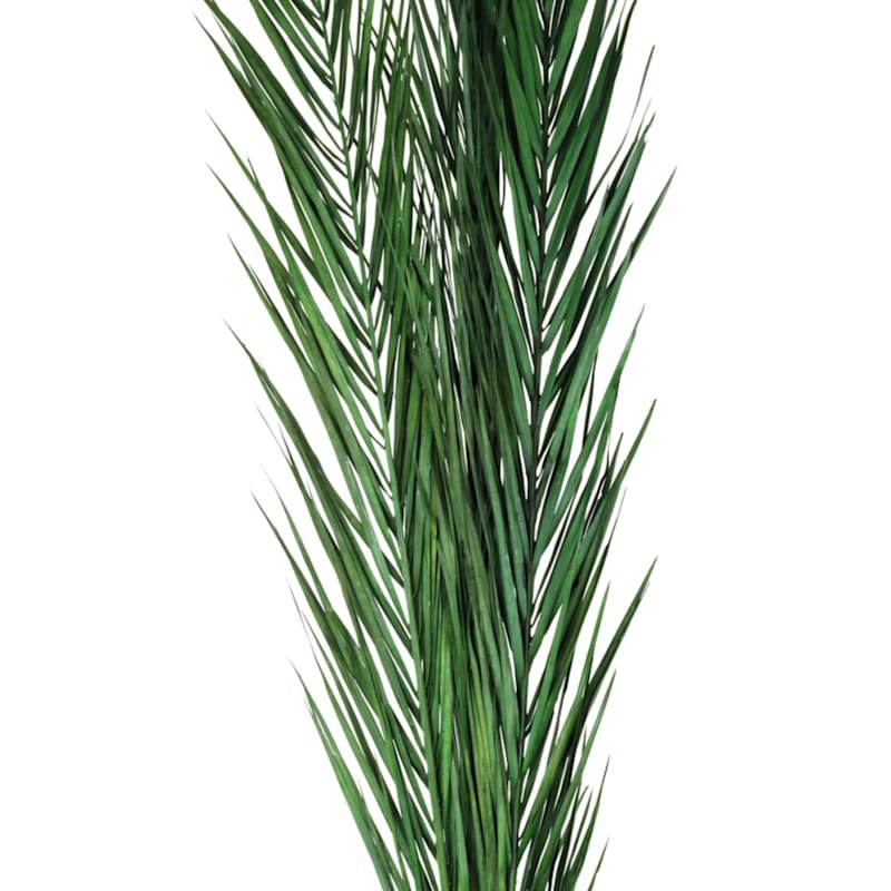 Kager Leaves, 3'-4' | At Home