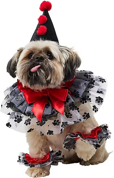 Frisco Clown Dog & Cat Costume Accessory | Chewy.com