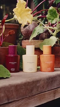 I had the pleasure of attending an intimate event with Jo Malone London with one of girlfriends — to celebrate the launch of their limited-edition Fragrances From The Veggie Patch collection — just in time for summer.

The collection is comforting, colorful, and softly sweet, inspired by nature’s most unexpected ingredients.

Featured fragrances:
Carrot Blossom
Scarlet Beetroot (my favorite) 
Velvety Butternut

Also: 
Tomato Leaf Hand Wash
Green Tomato Vine Candle (another favorite of mine!)

A beautiful evening filled with fragrance, conversation, and discovery.

Thank you to my dear O for hosting such a wonderful event and bringing us all together. 🤍

Now tell me — what’s one of your favorite summer scents?

JoMaloneLondon | FragrancesFromTheVeggiePatch SummerScents | PerfumeLover | FragranceCommunity | PerfumeCollection | SummerFragrance | FragranceLover ContentCreatorLife | #lifestyleblogger #DMVInfluencer #LifestyleCreator #JoMalone #ScentOfSummer

#LTKdayinmylife #LTKHome #LTKBeauty