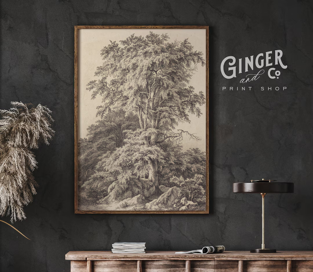 The Beech Tree -- Vintage Fine Art Drawing -- Framed Digitally Printed Canvas Art Peel and Stick,... | Etsy (US)