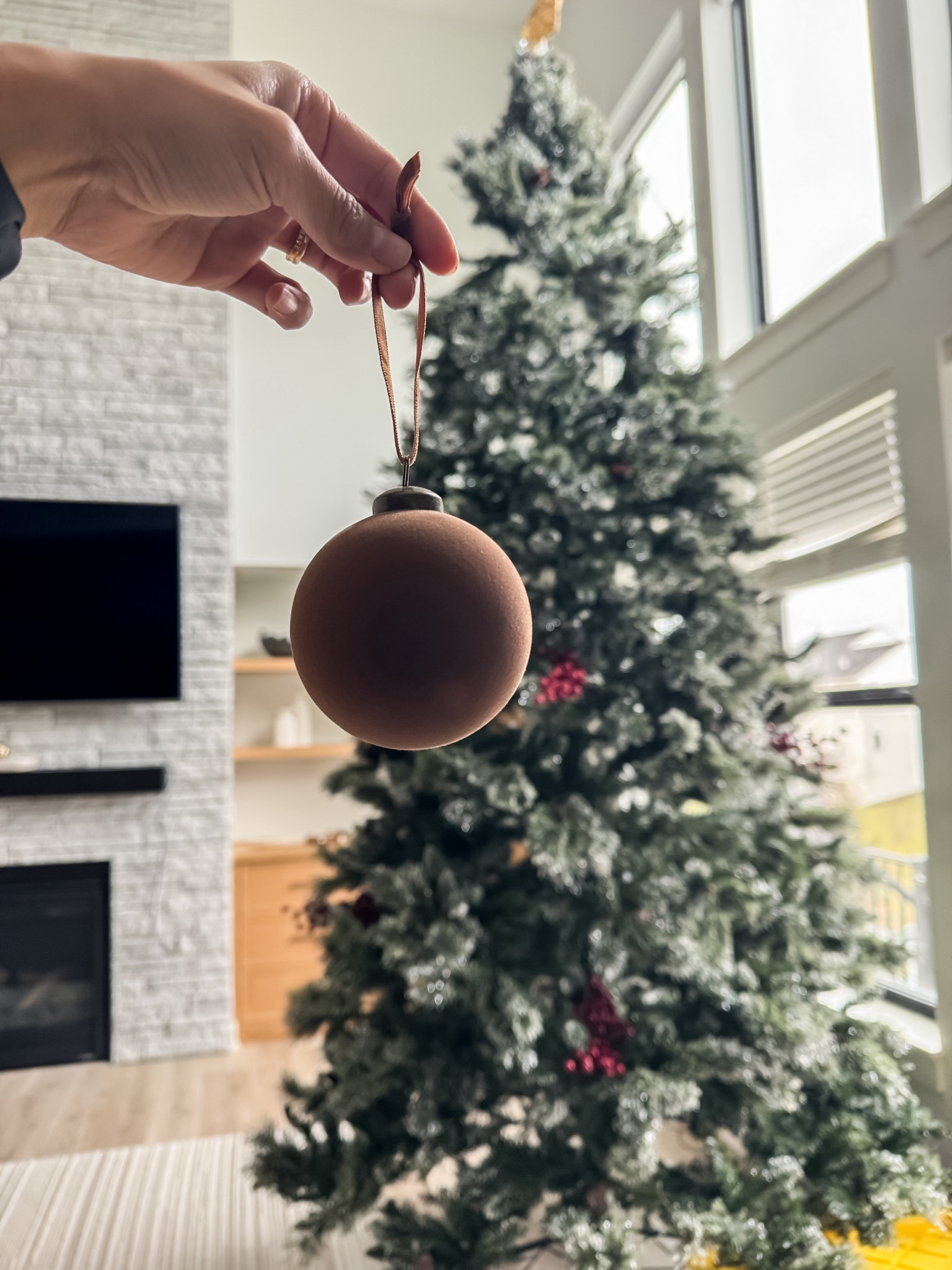 Velvet Christmas Ornaments 🎄

#LTKHome #LTKHoliday #LTKSeasonal