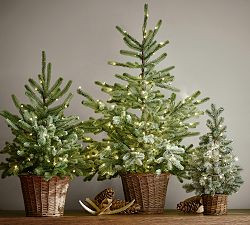 Faux Lit Blue Spruce Tree | Pottery Barn (US)