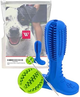 Wellnesspic Dog Toothbrush Stick-Dog Toothbrush Chew Toy Medium, Resistant Non-Toxic Natural Rubb... | Amazon (US)